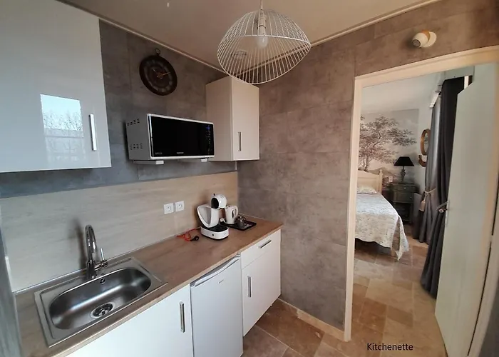 ベッド・アンド・ブレックファスト Manoir De La Fabregues 4*